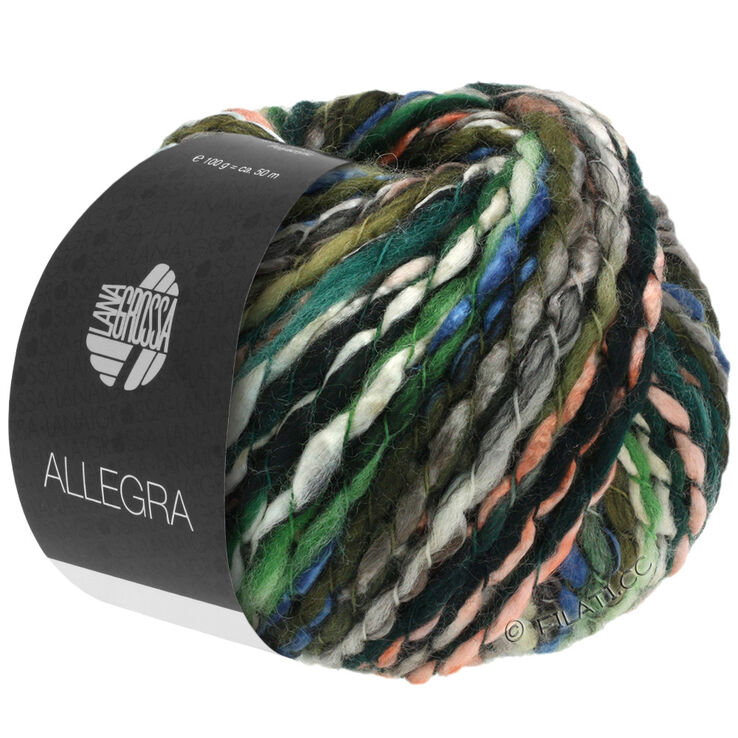 Lana Grossa ALLEGRA | 01-Grau/Rosa/Blau/Grün/Weiß