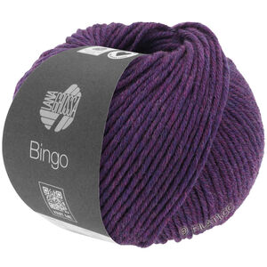 BINGO Mélange (We Care) - von Lana Grossa | 1004-Dunkelviolett meliert