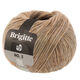 Lana Grossa BRIGITTE NO. 2 | 43-Rosenholz