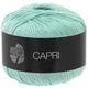 Lana Grossa CAPRI | 14-Mint