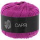 Lana Grossa CAPRI | 25-Fuchsia