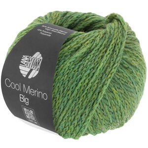 COOL MERINO Big - von Lana Grossa | 204-Grün