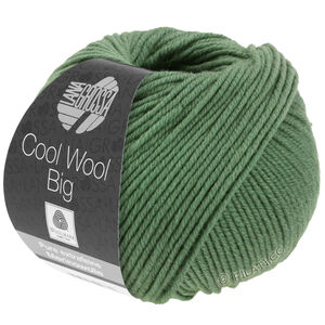 COOL WOOL Big  Uni/Melange - von Lana Grossa | 0967-Resedagrün