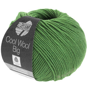 COOL WOOL Big  Uni/Melange - von Lana Grossa | 0997-Blattgrün