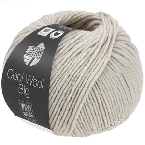 COOL WOOL Big Mélange (We Care) - von Lana Grossa | 1691-Grège meliert