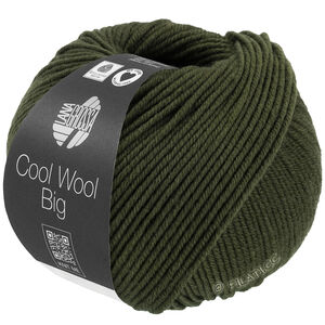 COOL WOOL Big Mélange (We Care) - von Lana Grossa | 1695-Lodengrün meliert