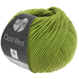 COOL WOOL - von Lana Grossa | 0471-Linde