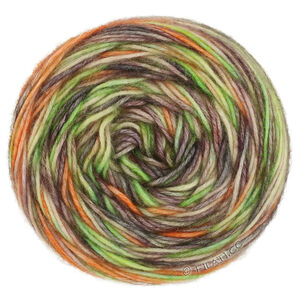 ECOPUNO Hand-dyed - von Lana Grossa | 54-Hellgrün/Taupe/Sandbeige/Orange/Anthrazit