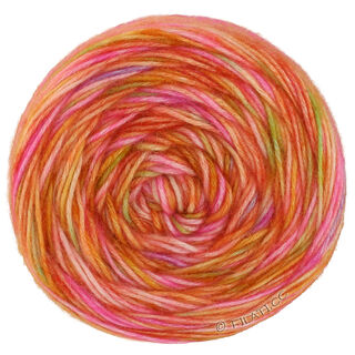 ECOPUNO Hand-dyed von Lana Grossa