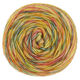 Lana Grossa ECOPUNO Hand-dyed | 58-Orange/Graugrün/Kanariengelb/Vanille/Karminrot