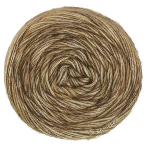 ECOPUNO Hand-dyed - von Lana Grossa | 67-Beigegrau/Taupe