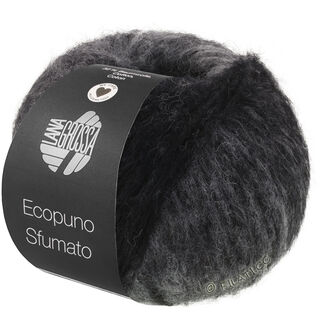 ECOPUNO Sfumato von Lana Grossa