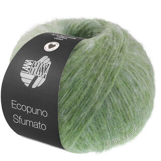 ECOPUNO Sfumato von Lana Grossa