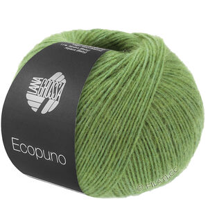 ECOPUNO - von Lana Grossa | 225-Birnengrün