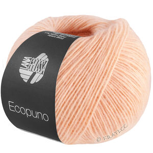 ECOPUNO - von Lana Grossa | 099-Apricot