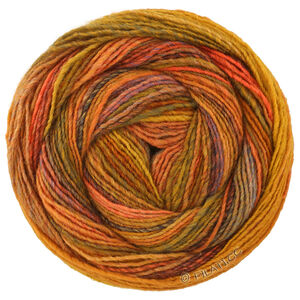 GOMITOLO INTENSO - von Lana Grossa | 244-Orange/Nougat/Ocker/Graublau/Hellbraun/Dunkelbraun/Rotbraun/Koralle