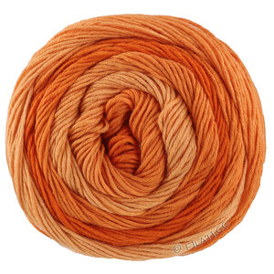 GOMITOLO TONO - von Lana Grossa | 1042-