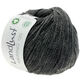 Lana Grossa LANDLUST MERINO 120 (GOTS & ICEA) | 119-Dunkelgrau