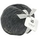 Lana Grossa LANDLUST MERINO 120 | 119-Dunkelgrau