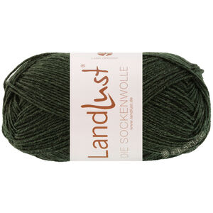 LANDLUST DIE SOCKENWOLLE 50g Mélange - von Lana Grossa | 1610-Schwarzgrün meliert