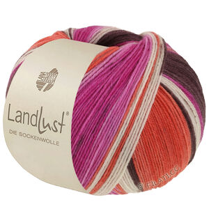 LANDLUST DIE SOCKENWOLLE - von Lana Grossa | 135-Graubraun/Fuchsia/Ecru/Terrakotta/Orchidee gestreift