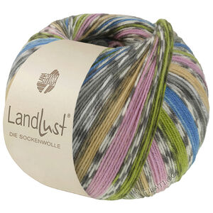 LANDLUST DIE SOCKENWOLLE - von Lana Grossa | 822-