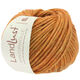 Lana Grossa LANDLUST WINTERWOLLE | 03-Orange meliert