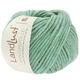 Lana Grossa LANDLUST WINTERWOLLE | 17-Mint meliert