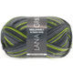 Lana Grossa MEILENWEIT 8-FACH 100g Print | 9575-