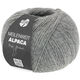 Lana Grossa MEILENWEIT 100g Alpaca | 2014-Grau