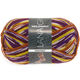 Lana Grossa MEILENWEIT 100g Fantasy | 4864-