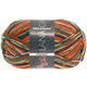 Lana Grossa MEILENWEIT 100g Fantasy | 4867-