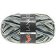 Lana Grossa MEILENWEIT 100g Fantasy | 4879-