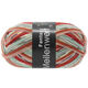 Lana Grossa MEILENWEIT 100g Fantasy | 4895-
