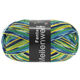 Lana Grossa MEILENWEIT 100g Fantasy | 4898-