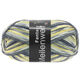Lana Grossa MEILENWEIT 100g Fantasy | 4899-