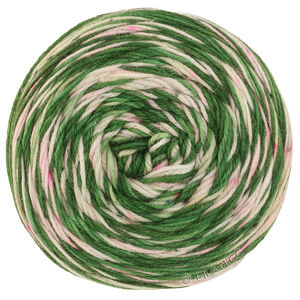 MEILENWEIT 100g Merino Hand-dyed - von Lana Grossa | 06-
