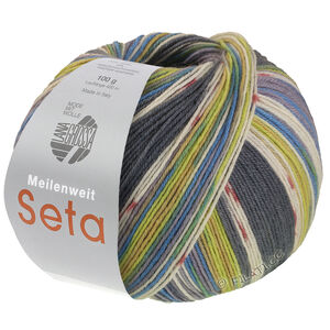 MEILENWEIT 100g Seta Giappone - von Lana Grossa | 3387-Dunkelgrau/Ecru/Terrakotta/Limette/Mausgrau/Pistazie/Azurblau