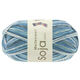 Lana Grossa MEILENWEIT 100g Soja Lago | 5170-