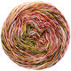 Lana Grossa PAPPAGALLO | 16-Rosa/Weinrot/Gelb/Weiß/Mandarin/Dunkelbraun