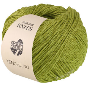 TENCELLINO - von Lana Grossa | 05-Pistazie