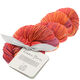 Lana Grossa UNICO (Linea Pura) | 10-Bordeaux/Kupferrot/Dunkelorange