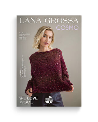 Cosmo Flyer 2026