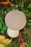 Lana Grossa PILZ Star