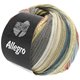 Lana Grossa ALLEGRO | 029-Vanille/Natur/Dunkelgrau/Rosenholz/Beige