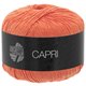 Lana Grossa CAPRI | 04-Lachs