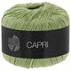 Lana Grossa CAPRI | 43-Lindgrün