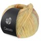 Lana Grossa CASSATA | 09-Blassgelb/Zitrusgelb/Altrosa/Graublau/Grauviolett