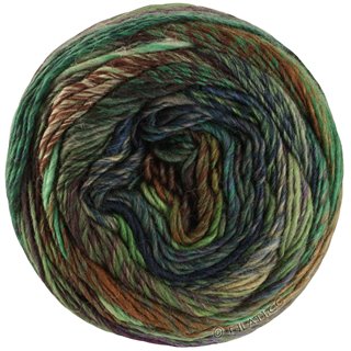 COLORISSIMO 2 von Lana Grossa
