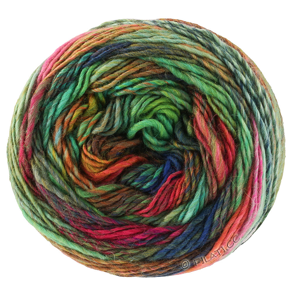 COLORISSIMO 2 von Lana Grossa